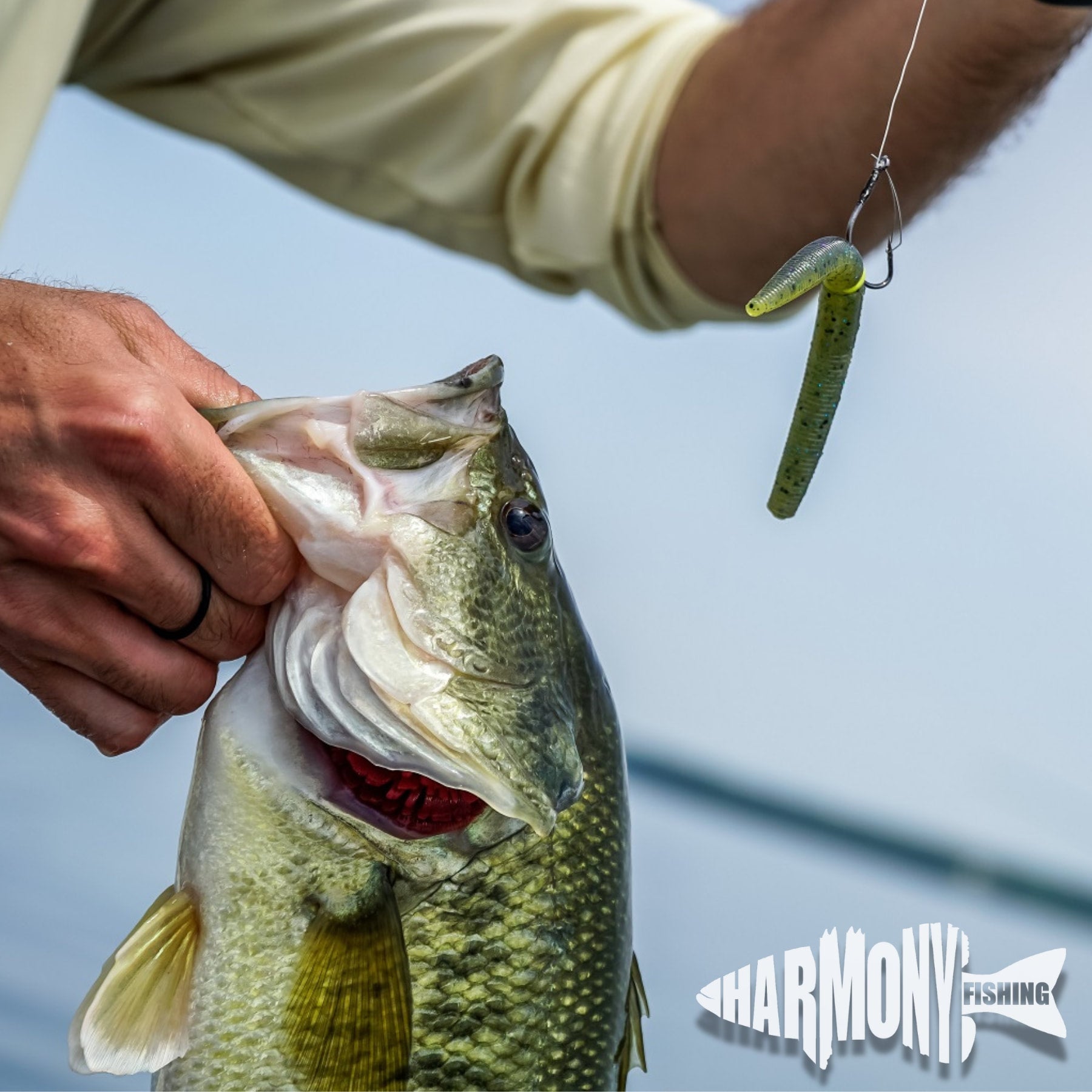 Wacky Rings (100 Pack, Select Size/Color)