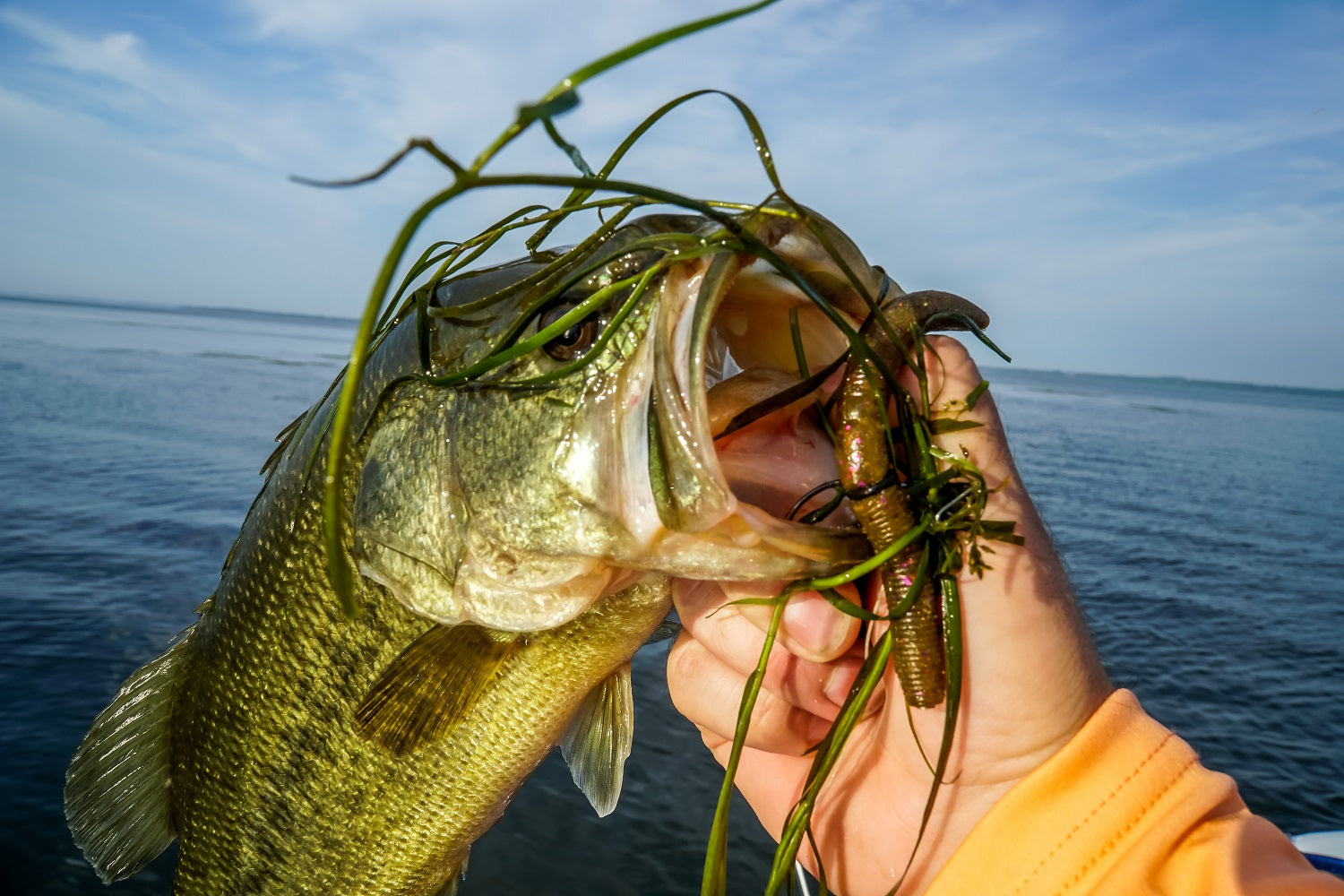 How to Rig & Fish the Neko Rig