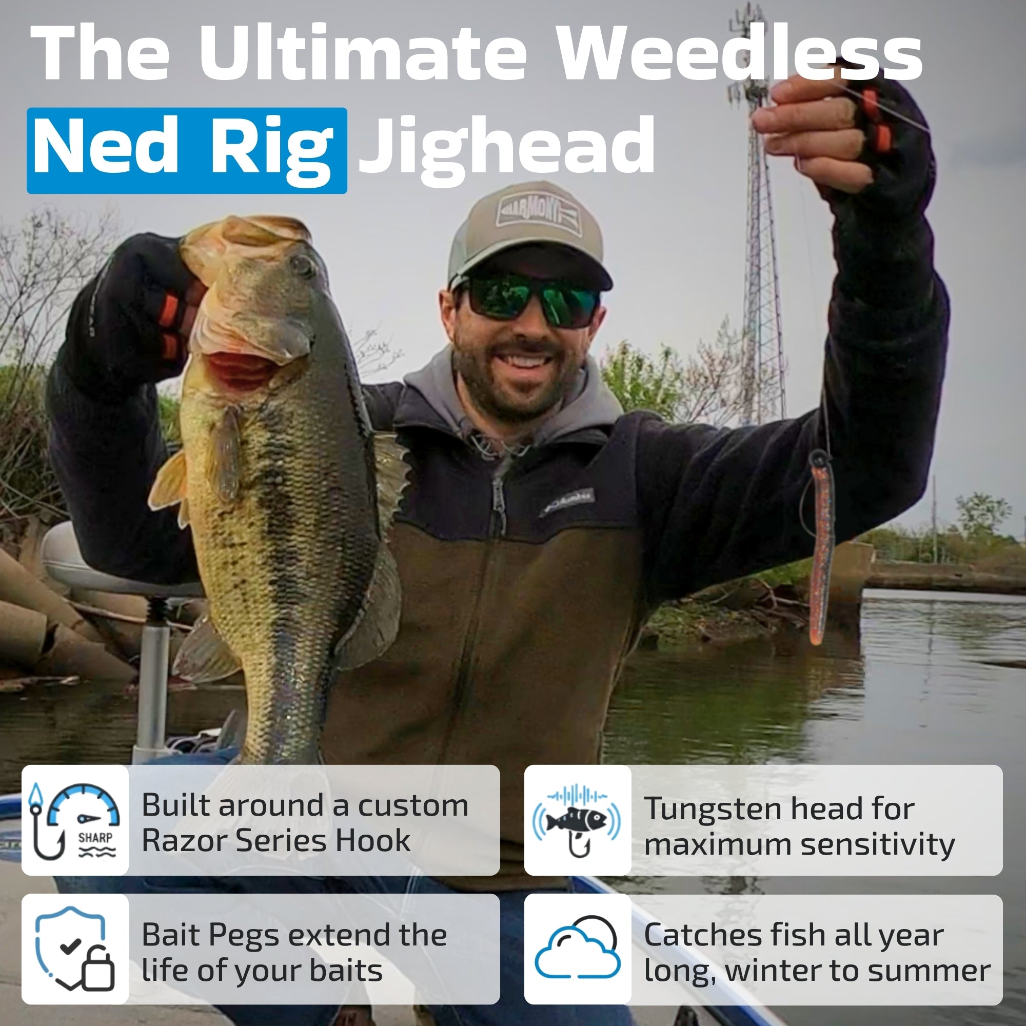 Tungsten Offset Weedless Ned Rig Jigheads (5 Pack w/ Bait Pegs)