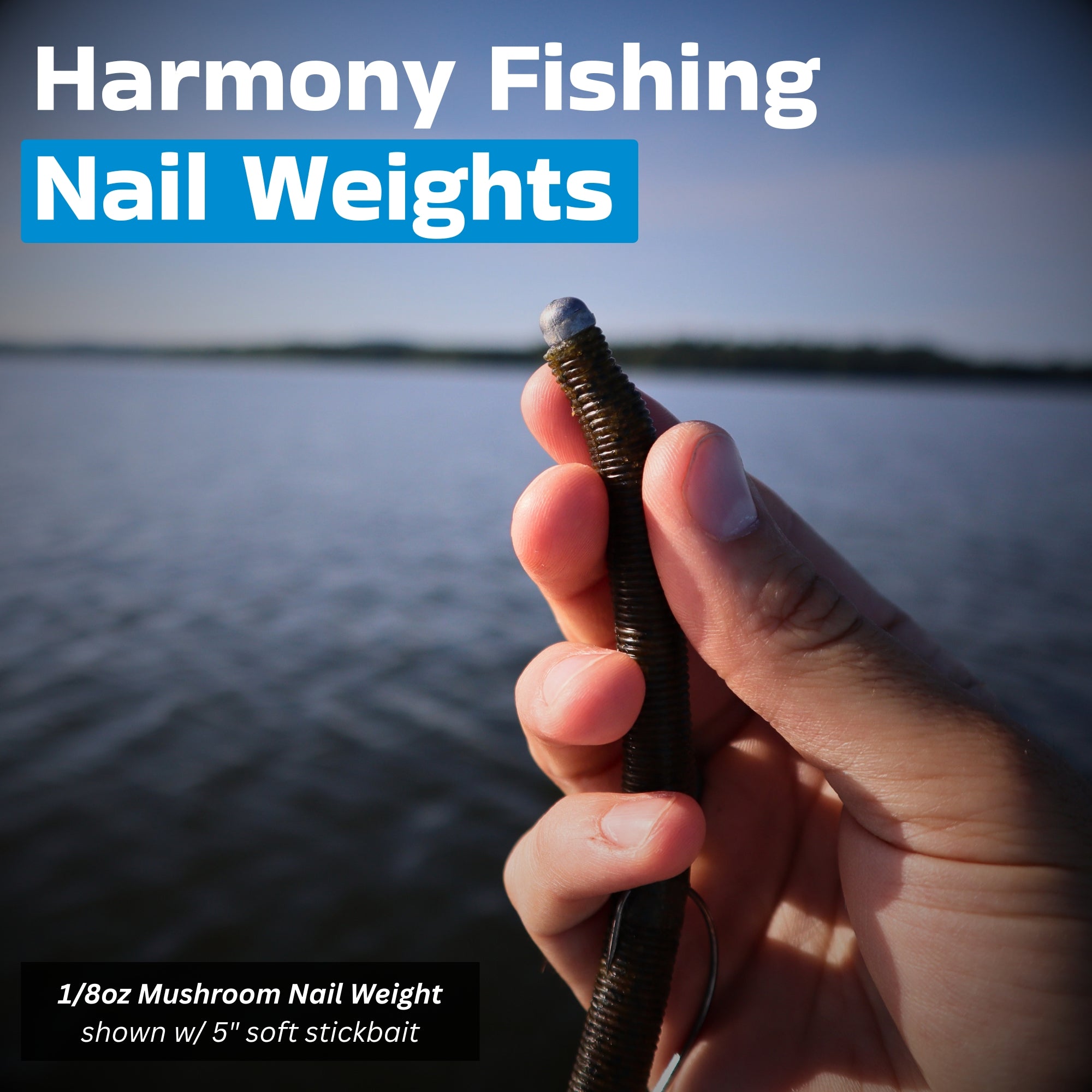 Nail Weights (Standard & Mushroom/Moon Head)