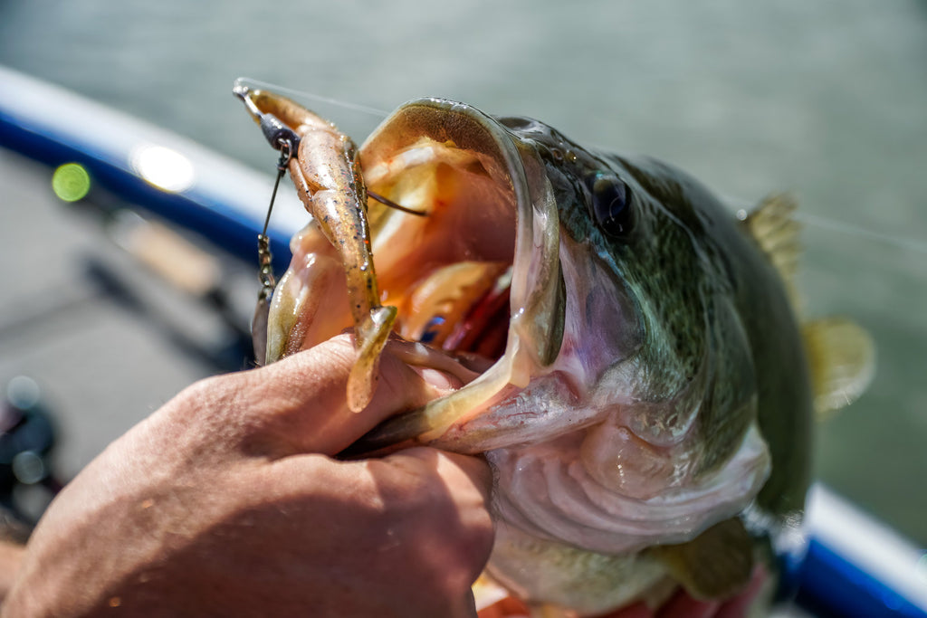 Razor Series UnderSpin Hooks (4 Pack)