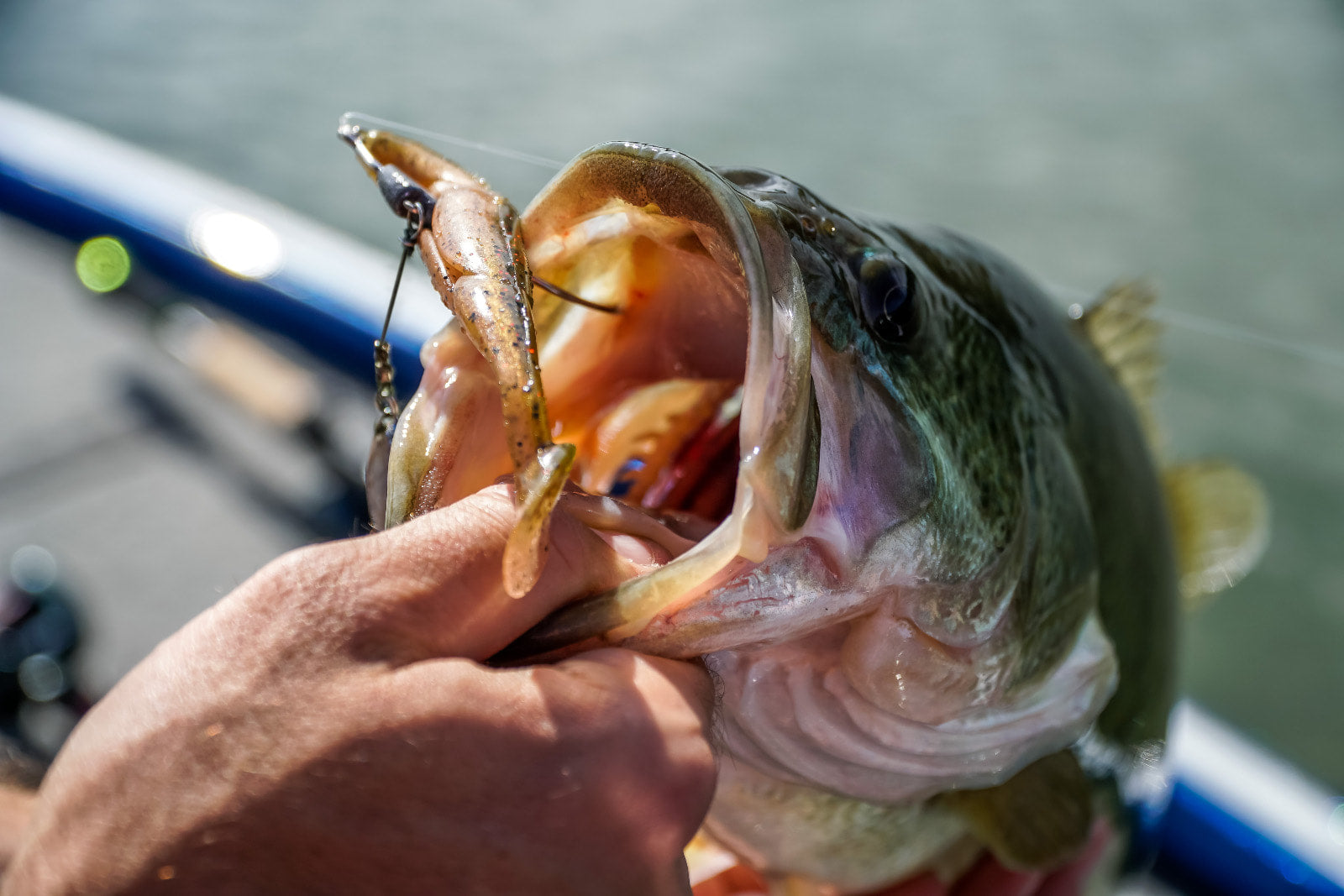 Razor Series UnderSpin Hooks (4 Pack)